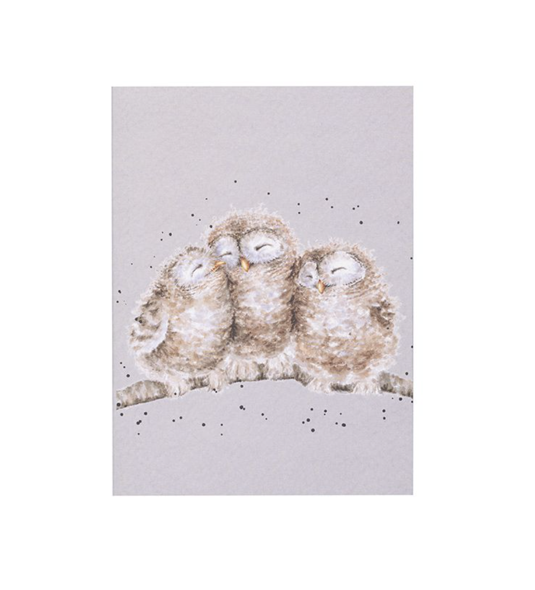 Wrendale Designs A6 Notebook - Owlets