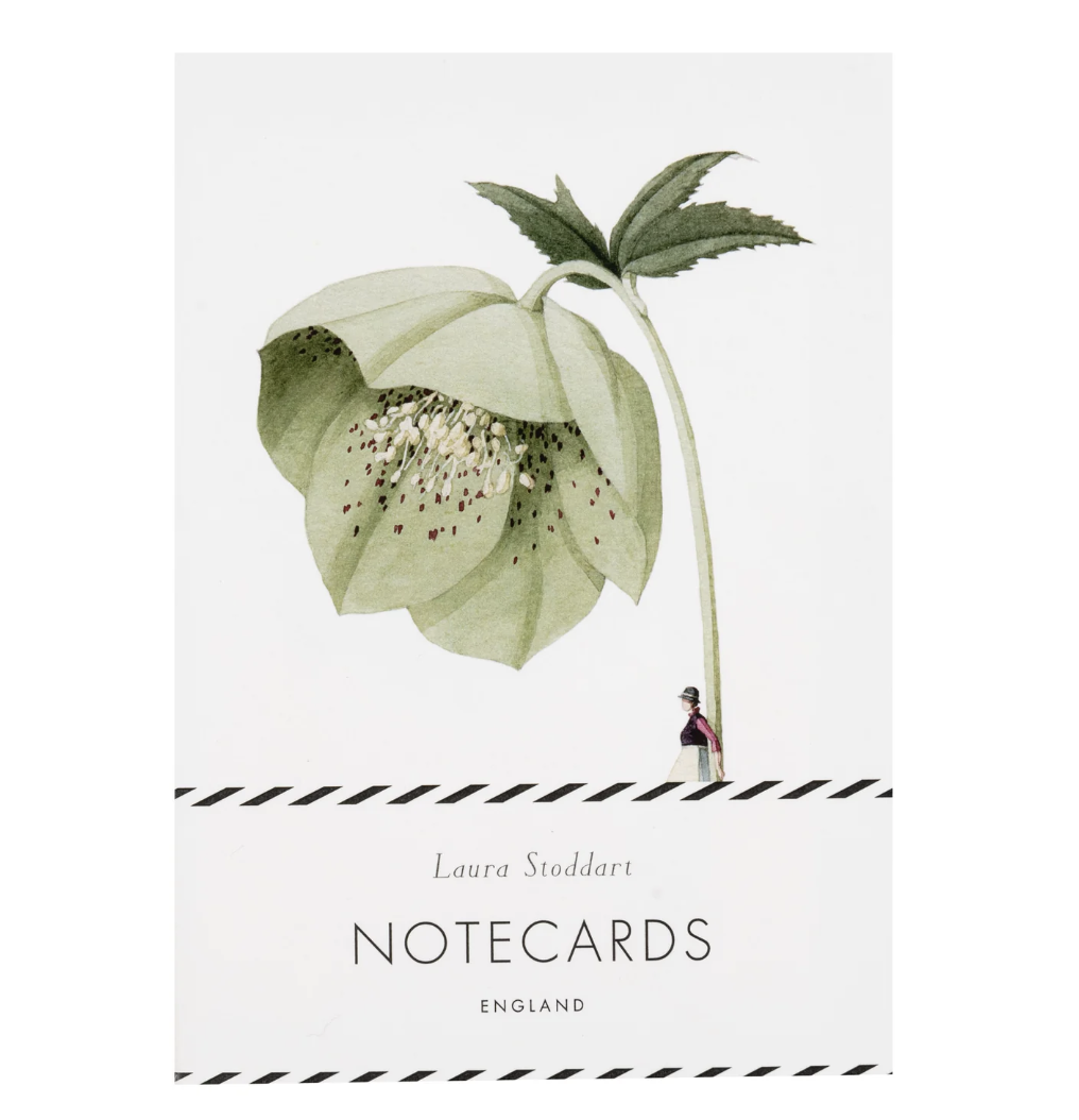 Laura Stoddart Note Cards & Envelope Set - In Bloom Green Flowers