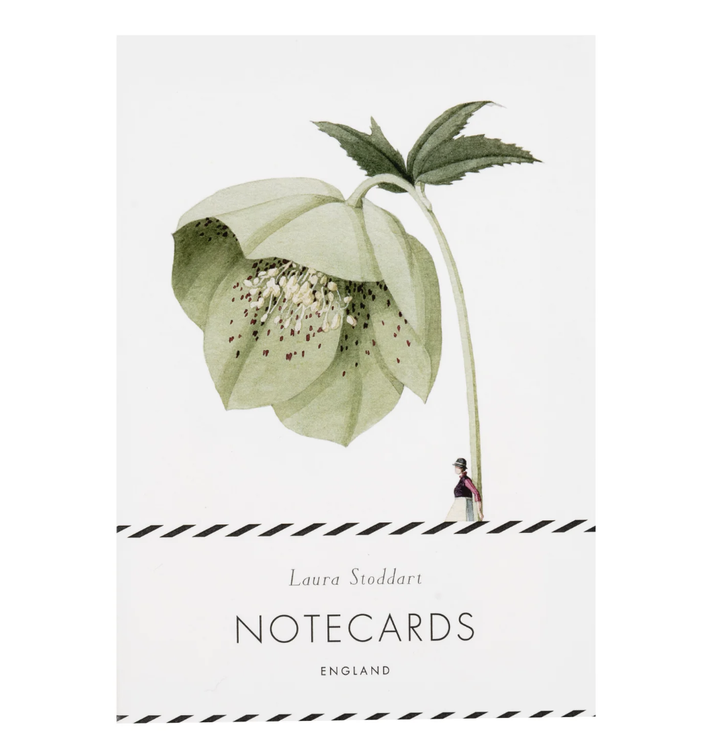 Laura Stoddart Note Cards & Envelope Set - In Bloom Green Flowers