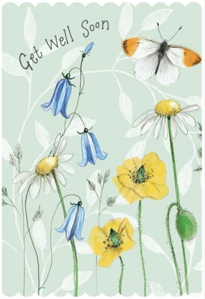 Doodles Card - Get Well Butterfly Meadow