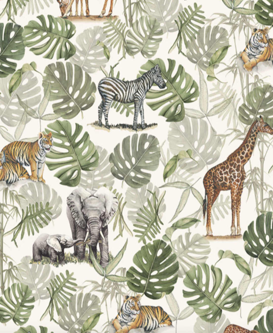 Grafiche Tassotti Flat Wrap - Safari