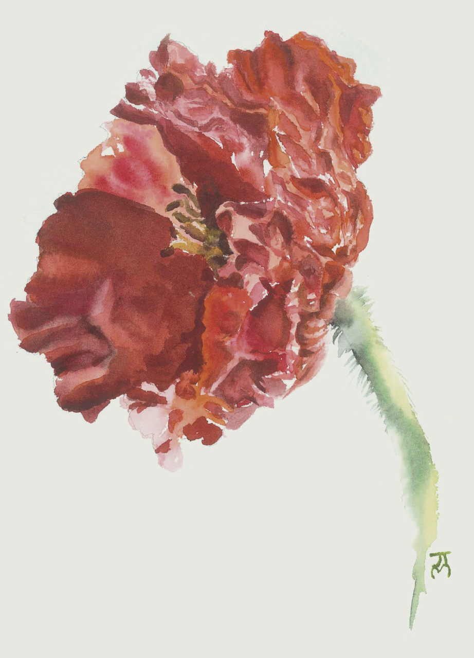 Joanne Ting Card - Red Poppy