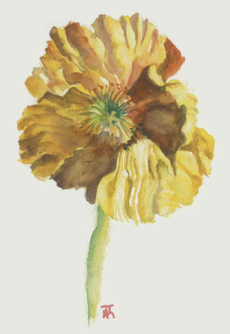 Joanne Ting Card - Yellow Poppy