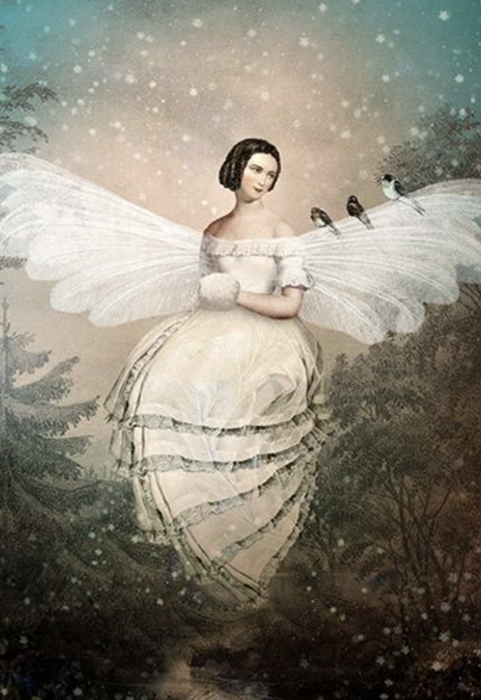 Catrin Welz-Stein Card - Fairy And Birds