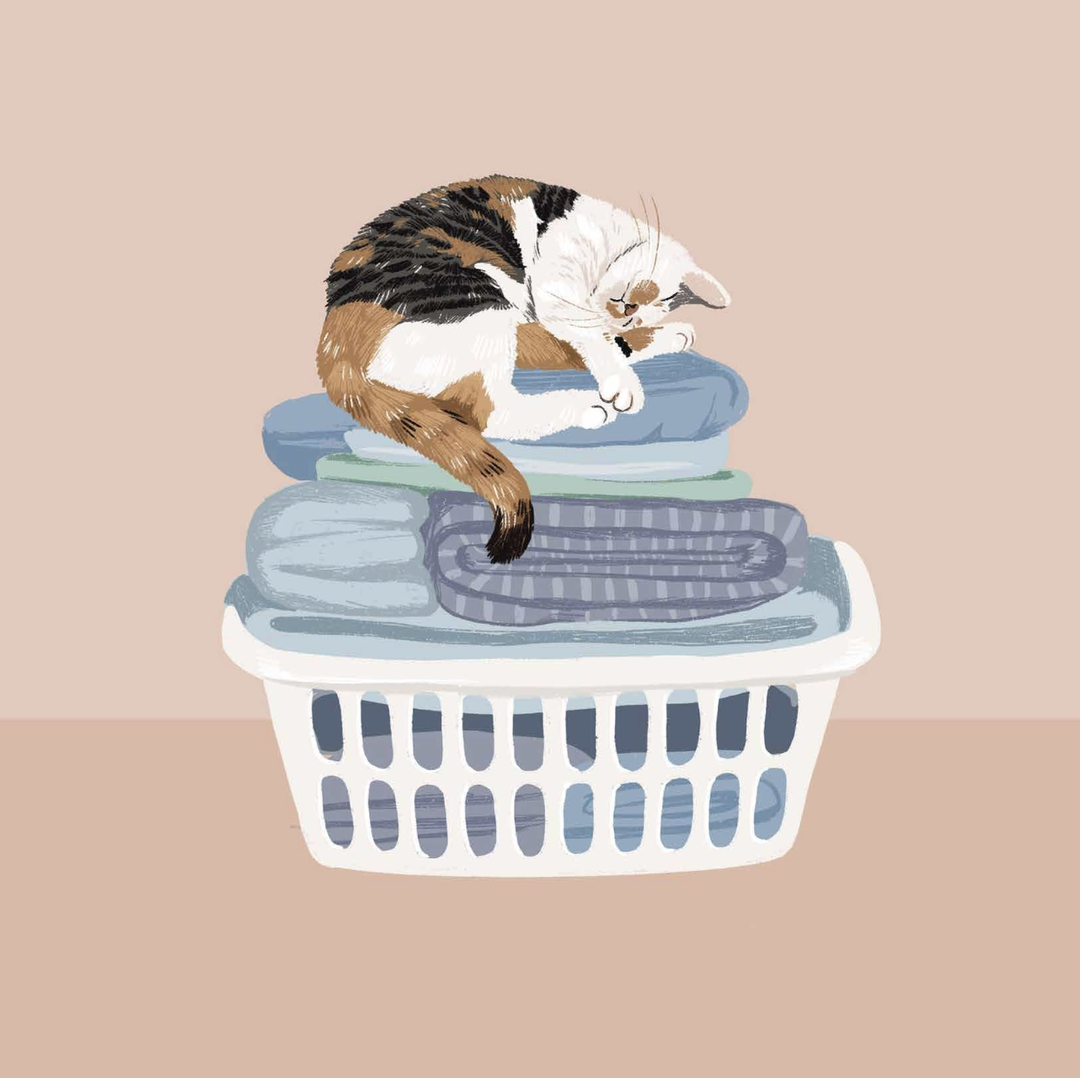 Alissa Levy Card - Laundry Pile Cat