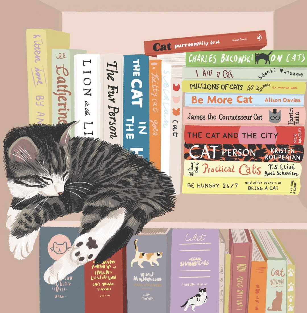 Alissa Levy Card - Bookshelf Cat Nap