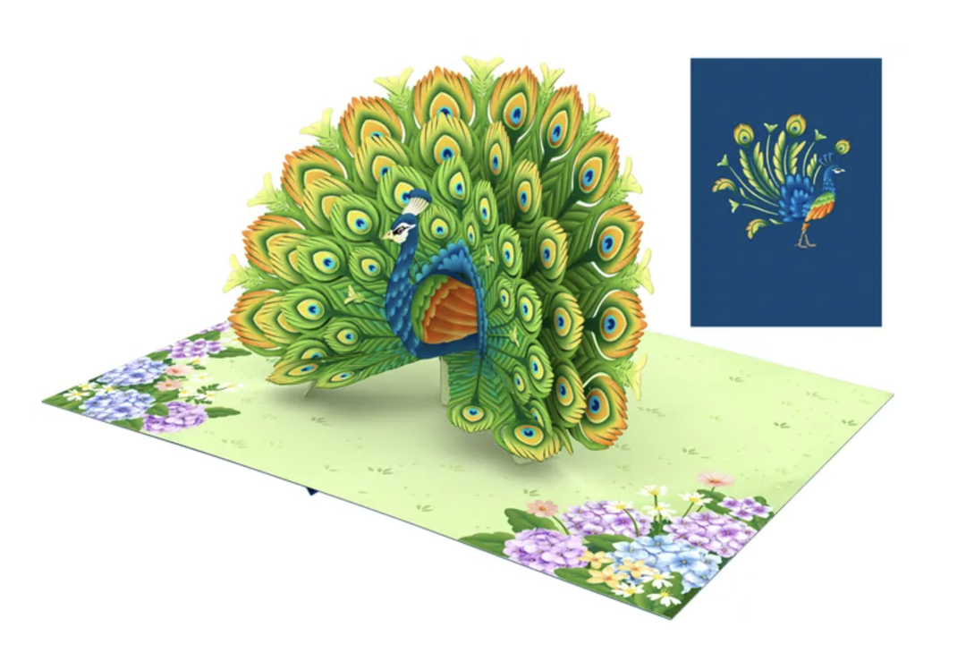 Origamo Pop Up Greeting Card - Peacock