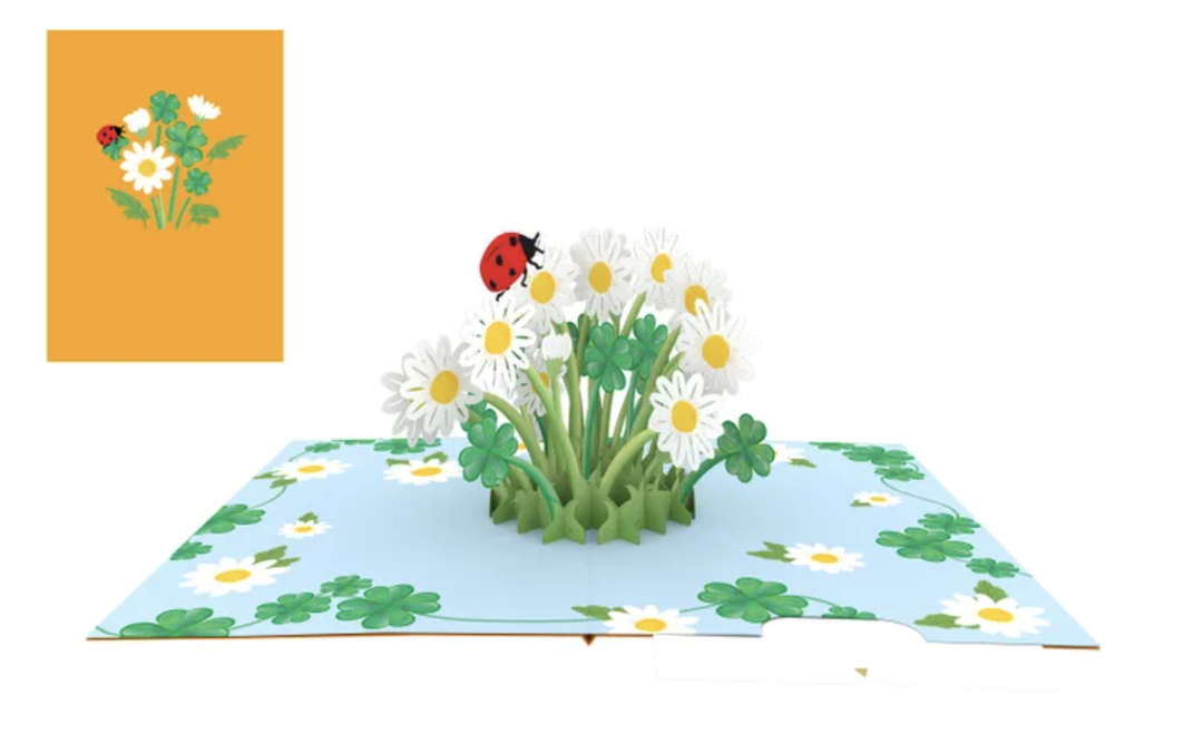 Origamo Pop Up Greeting Card - Good Luck
