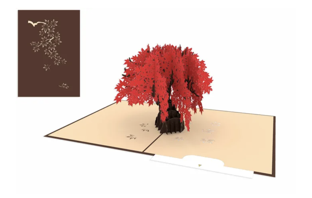 Origamo Pop Up Greeting Card - Bonsai