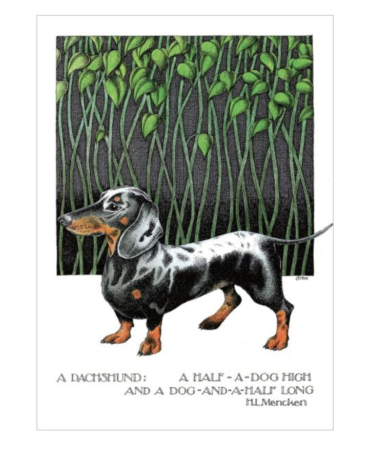 Simon Drew Card -  Dachshund