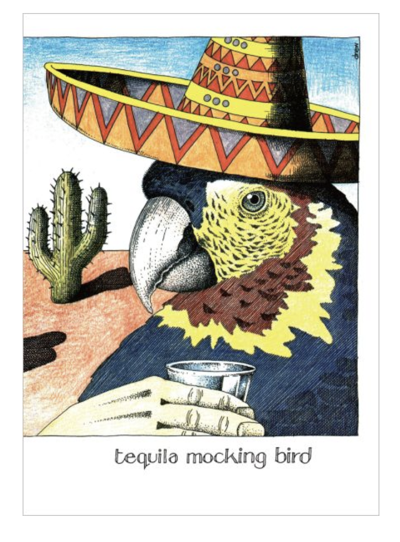 Simon Drew Card - Tequila Mocking Bird