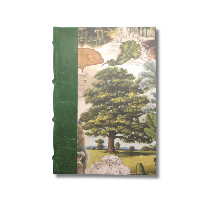 A5 Half-Leather Bound Journal (Green) - The Mysterious Life of Trees