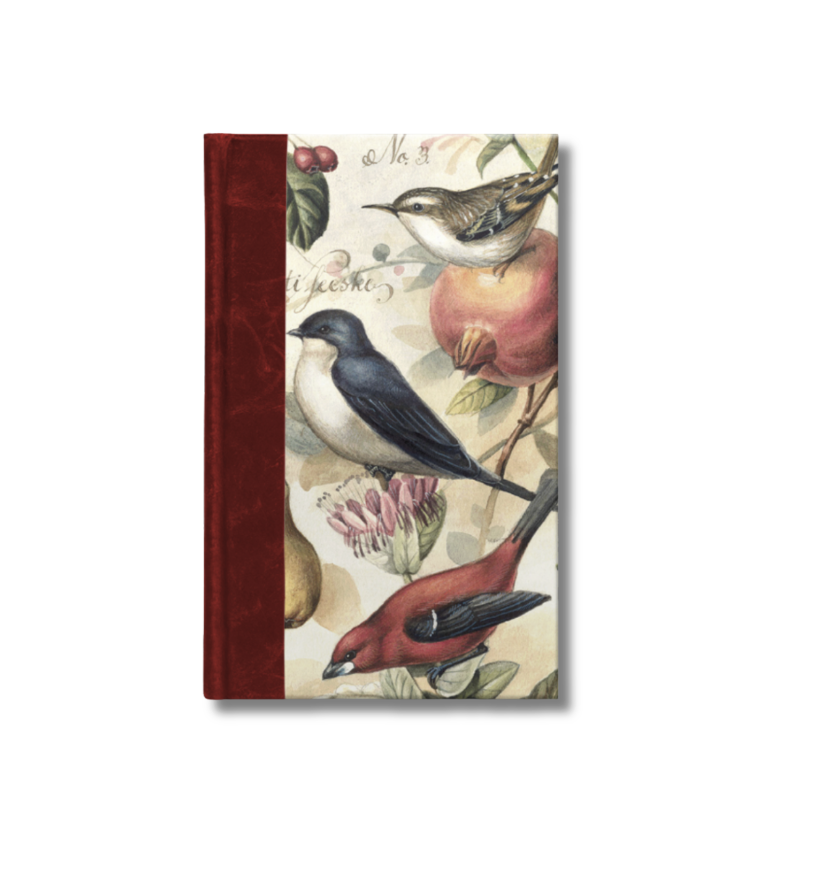 A5 Half-Leather Bound Sketchbook (Red) - Birds and Fruits