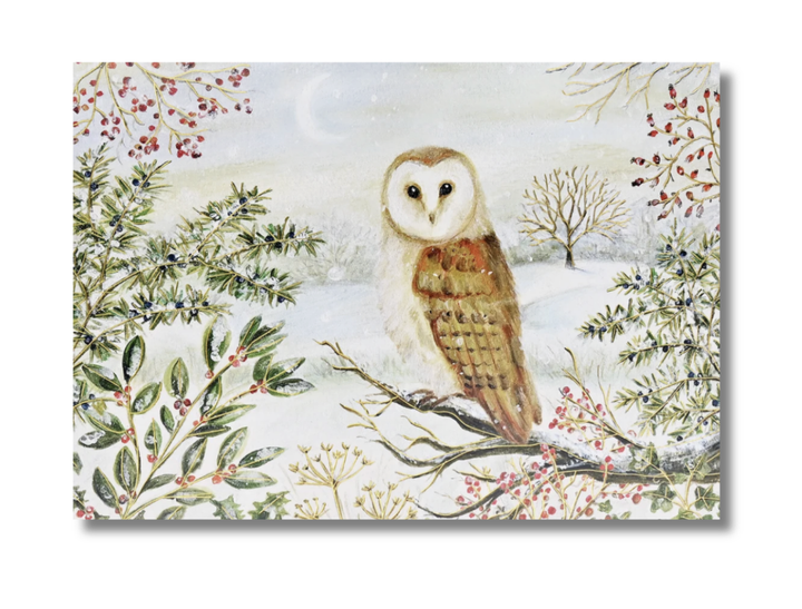 Deluxe Boxed Christmas Cards - Barn Owl In Winter