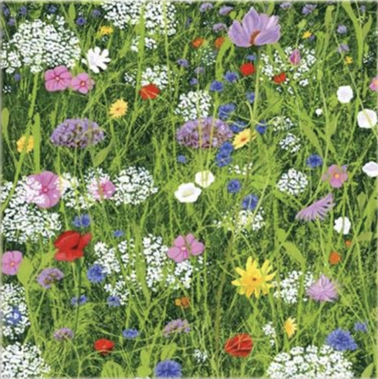 Classics Card - Wild Garden
