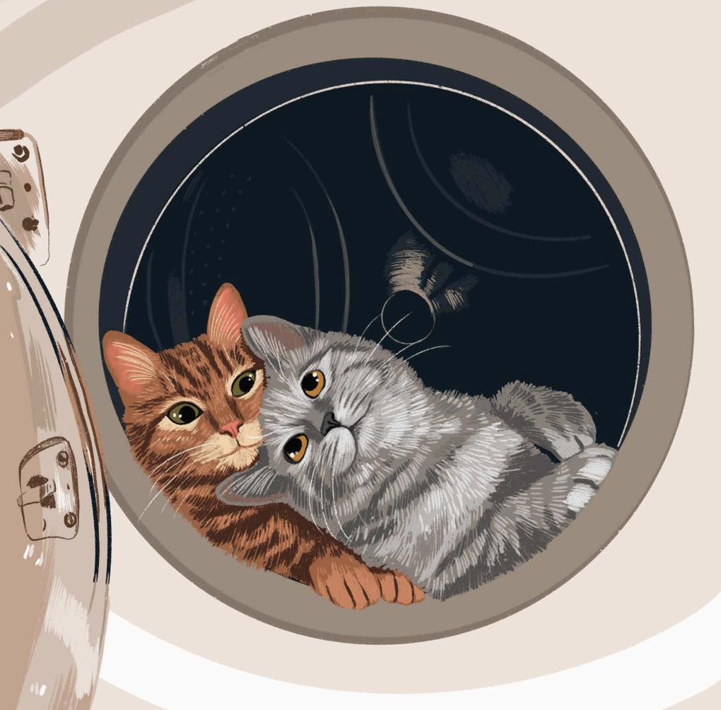 Alissa Levy Card - Cats In Dryer