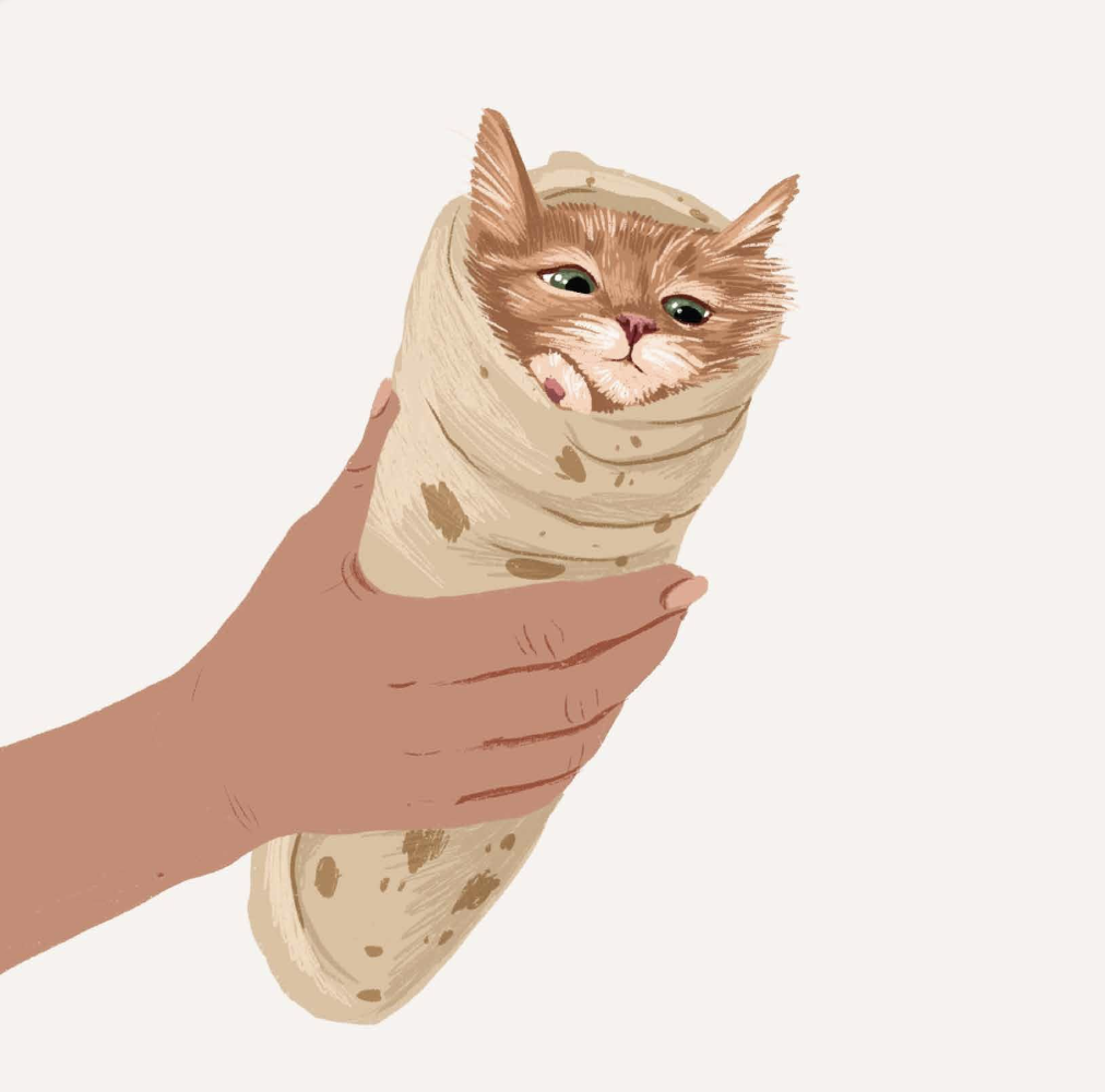 Alissa Levy Card - Purrito Cat