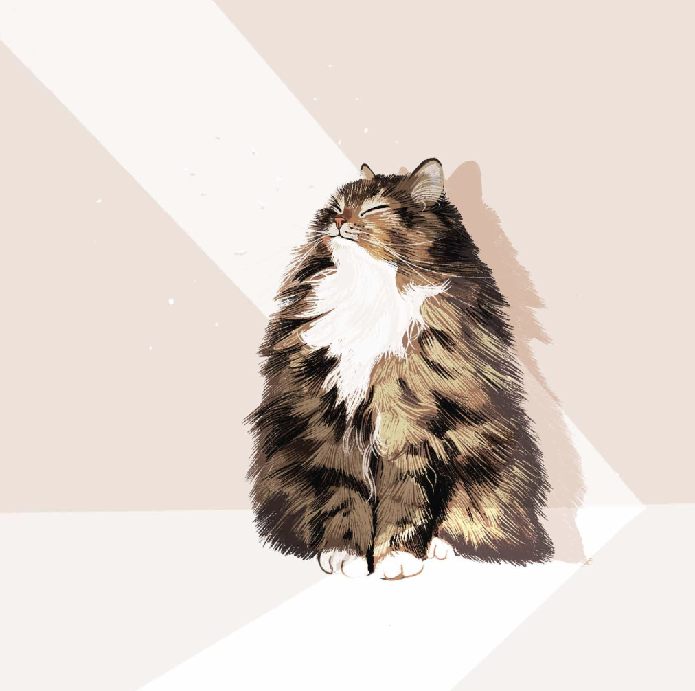 Alissa Levy Card - Sunbeam Cat
