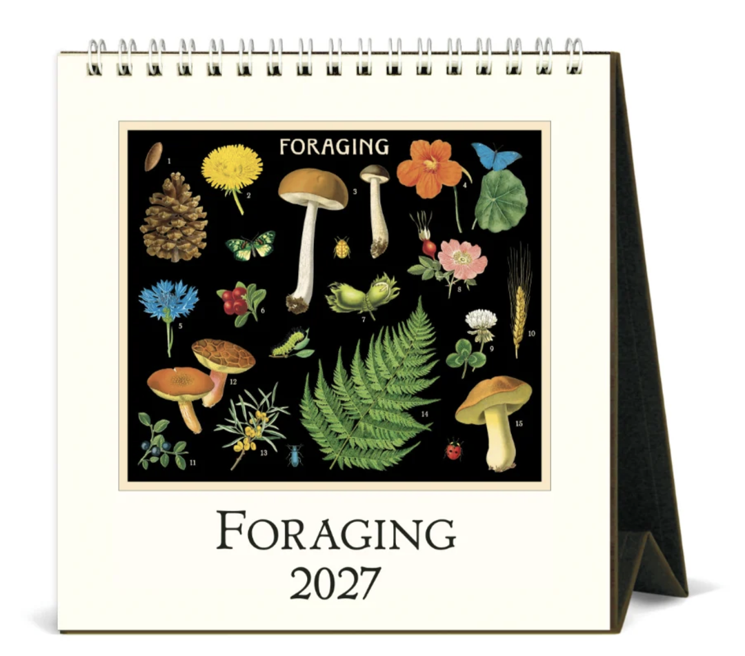 Cavallini 2027 Desk Calendar - Foraging