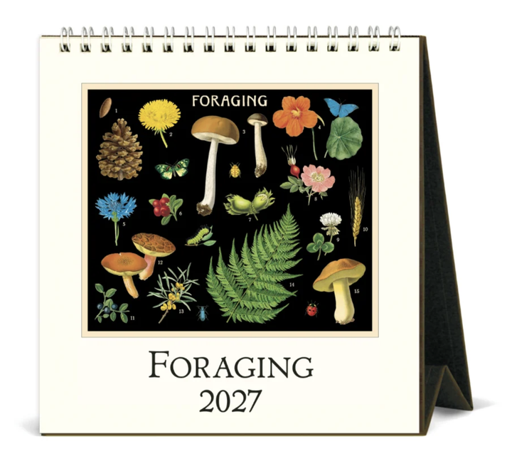 Cavallini 2027 Desk Calendar - Foraging