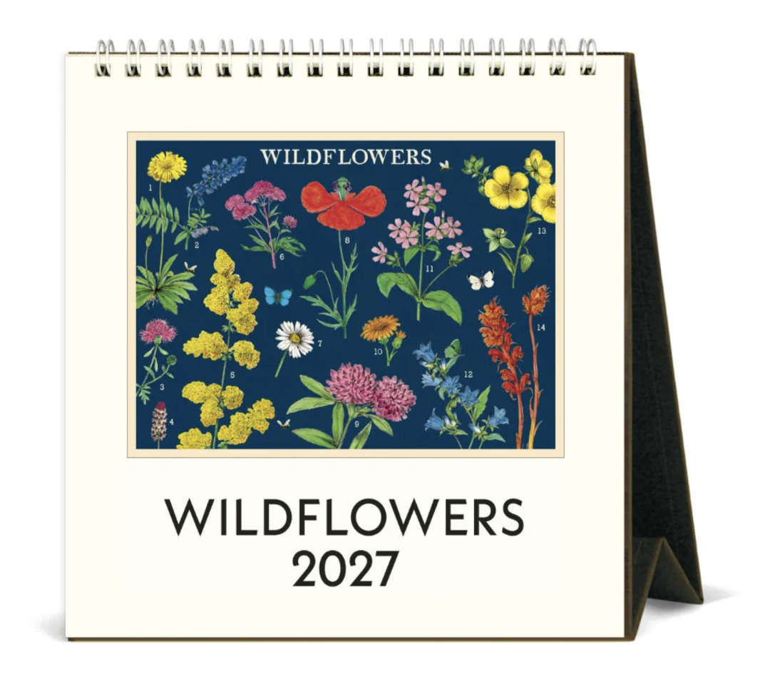 Cavallini 2027 Desk Calendar - Wildflowers