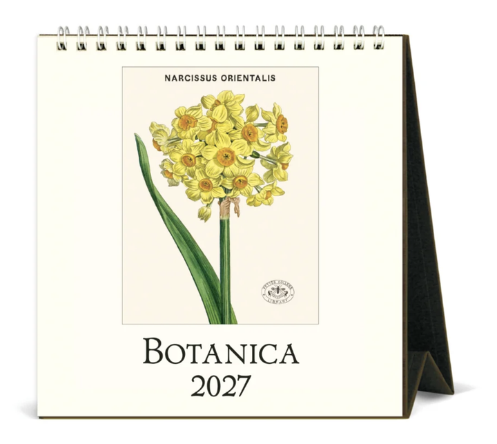 Cavallini 2027 Desk Calendar - Botanica