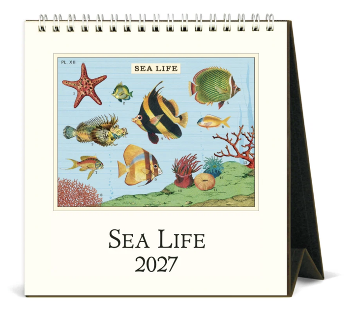 Cavallini 2027 Desk Calendar - Sea Life