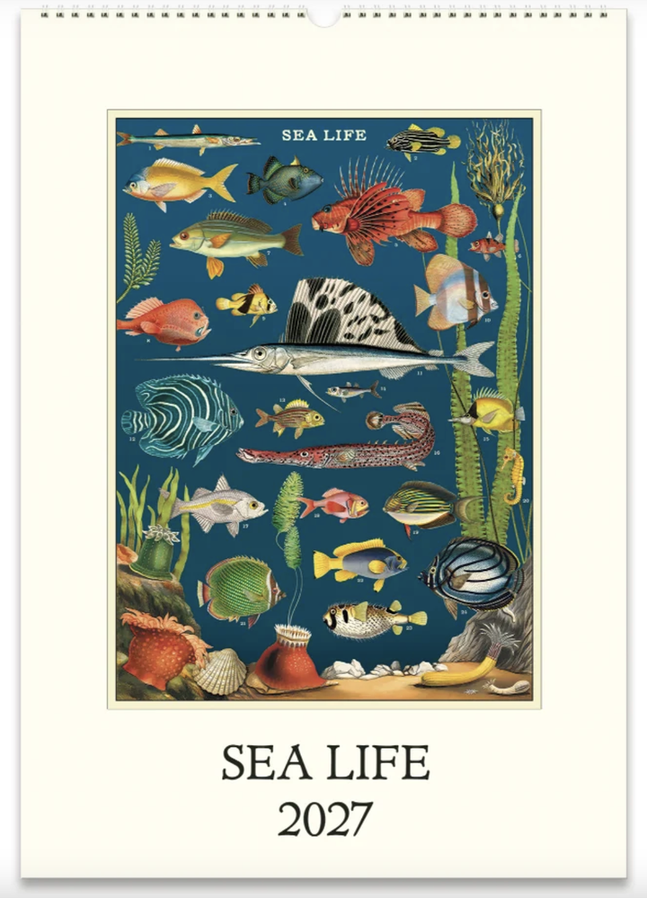 Cavallini 2027 Wall Calendar - Sea Life