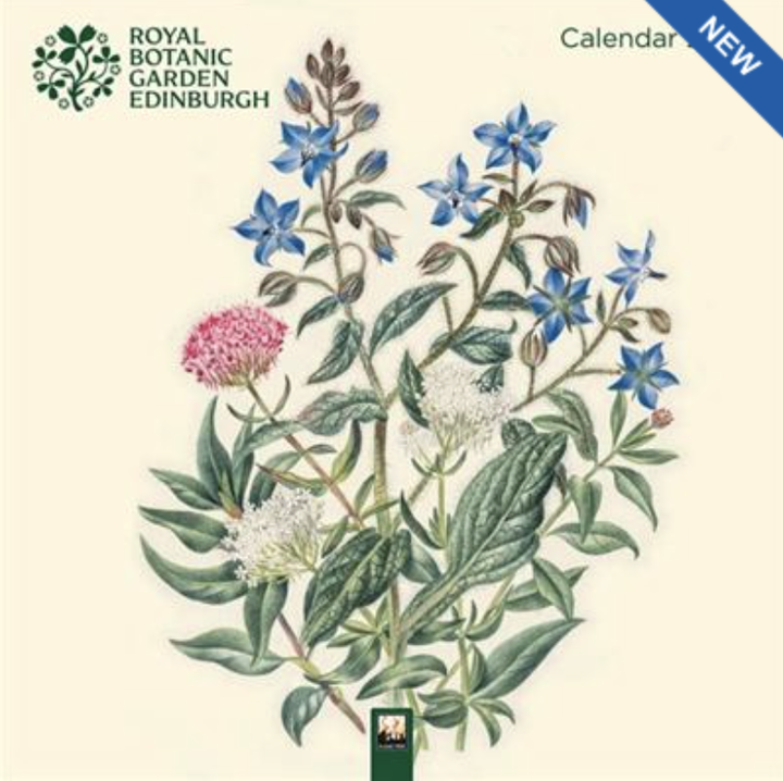 2027 Flame Tree Wall Calendar - Royal Botanic Garden Edinburgh