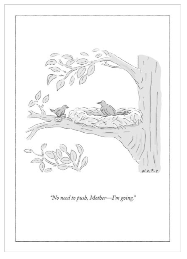 All Cards