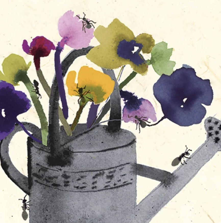 Jenny Frean Card - Ants in Your Plants