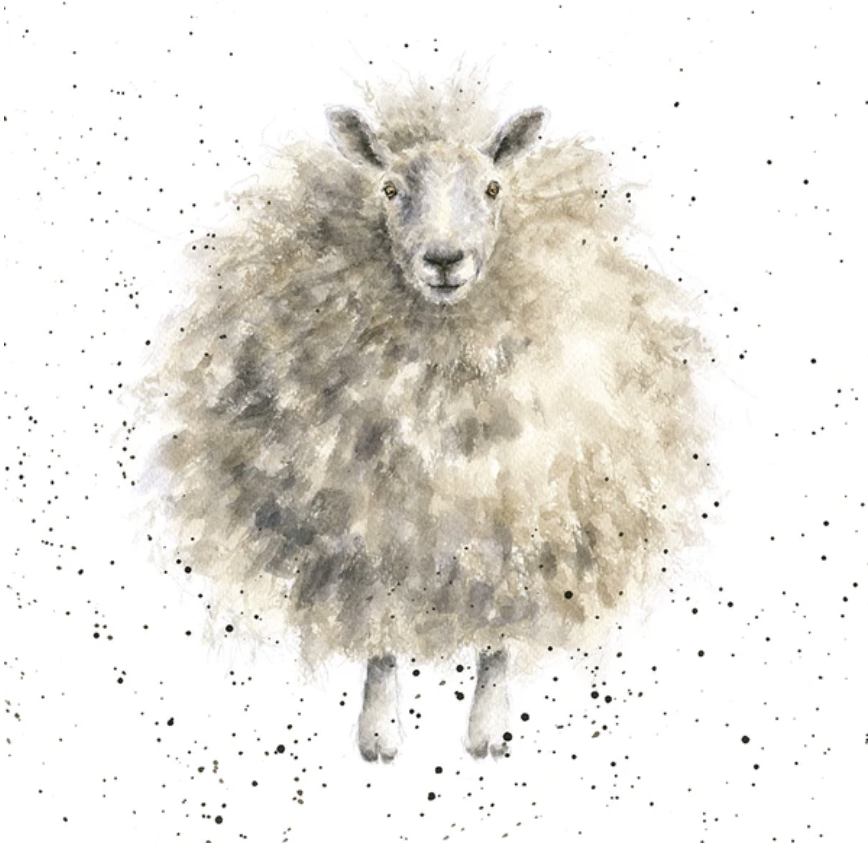 The Country Set Card - The Woolly Jumper