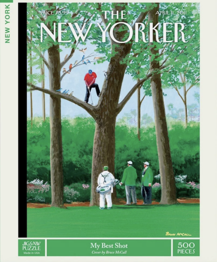 New Yorker 500 Piece Puzzle - My Best Shot