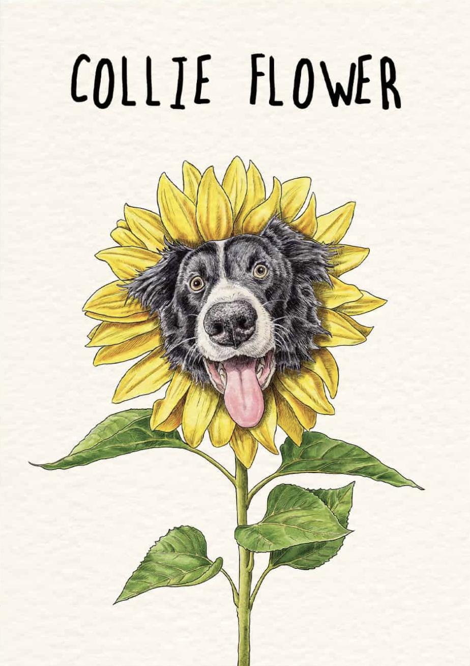Bewilderbeest Card - Collie Flower