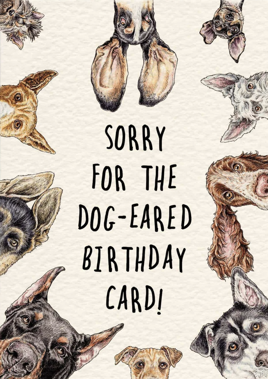 Bewilderbeest Card - Dog-Eared Birthday