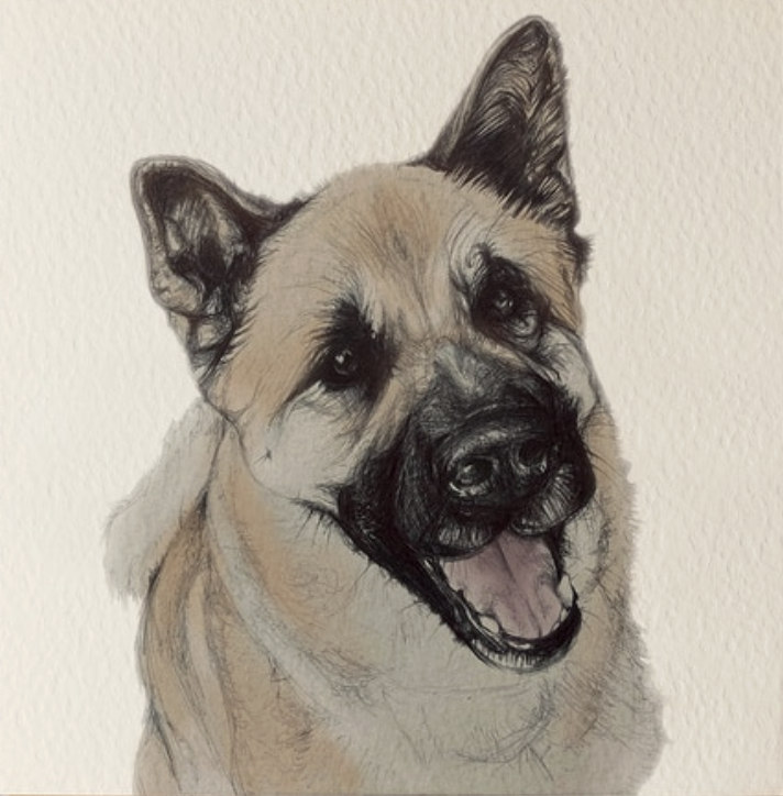 Olivia Bell Card - Sheru Akita