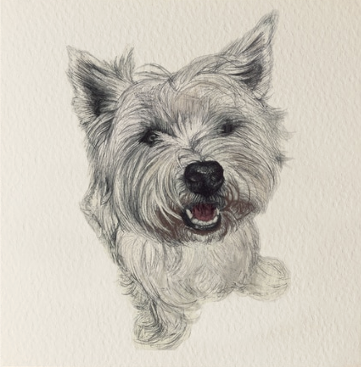 Olivia Bell Card - Basil Westie