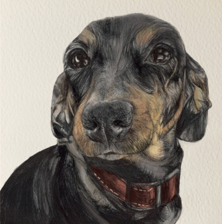 Olivia Bell Card - Lou Dachshund