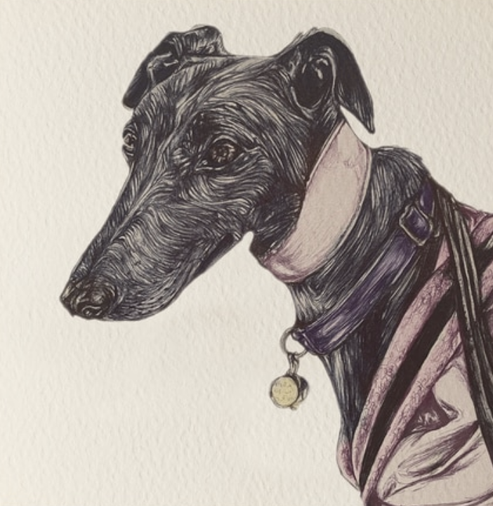 Olivia Bell Card - Stacey Greyhound