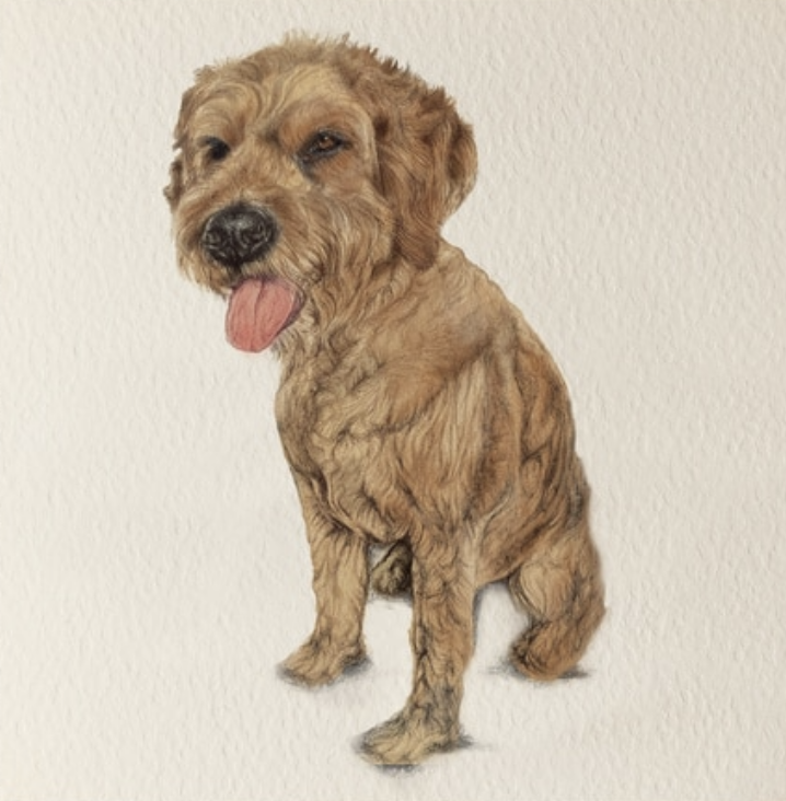 Olivia Bell Card - Poppy Golden Doodle
