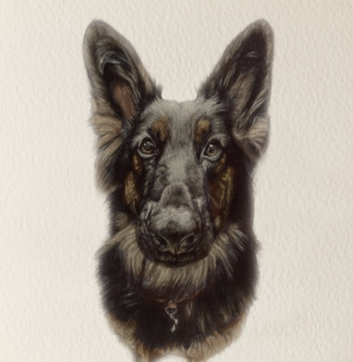 Olivia Bell Card - Raya German Shepherd