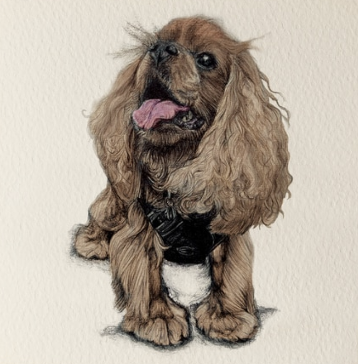 Olivia Bell Card - Flash King Charles Spaniel