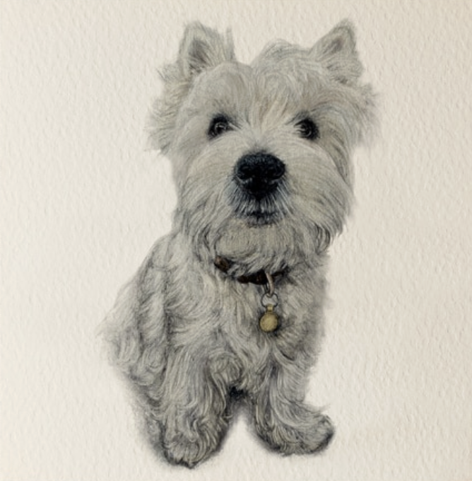 Olivia Bell Card - Howard Westie Puppy