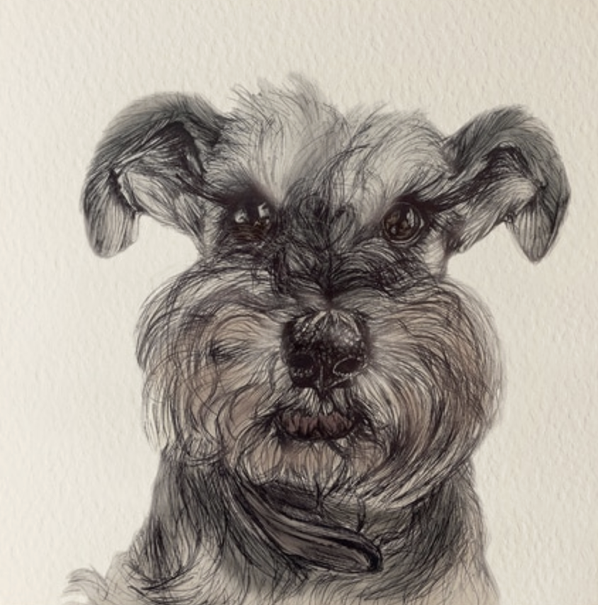 Olivia Bell Card - Pippa Miniature Schnauzer