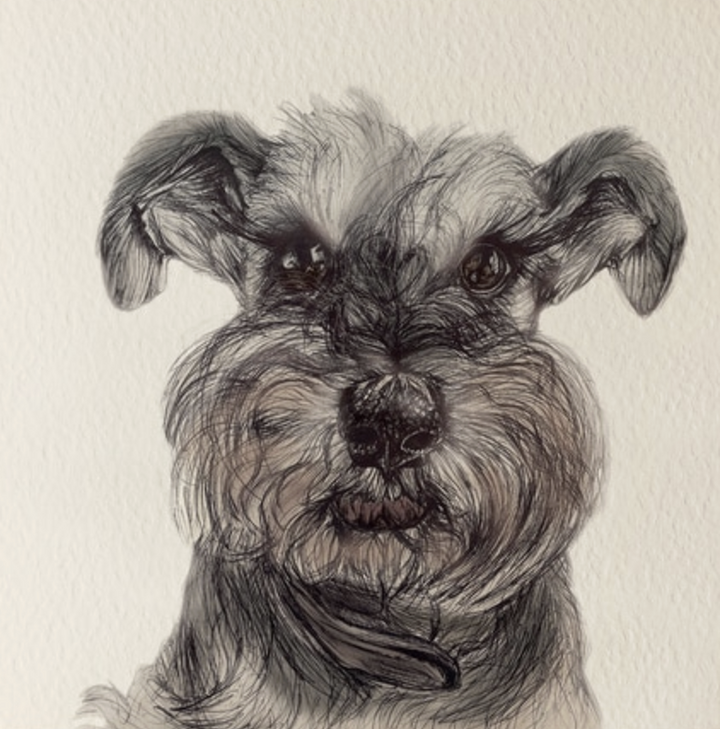 Olivia Bell Card - Pippa Miniature Schnauzer