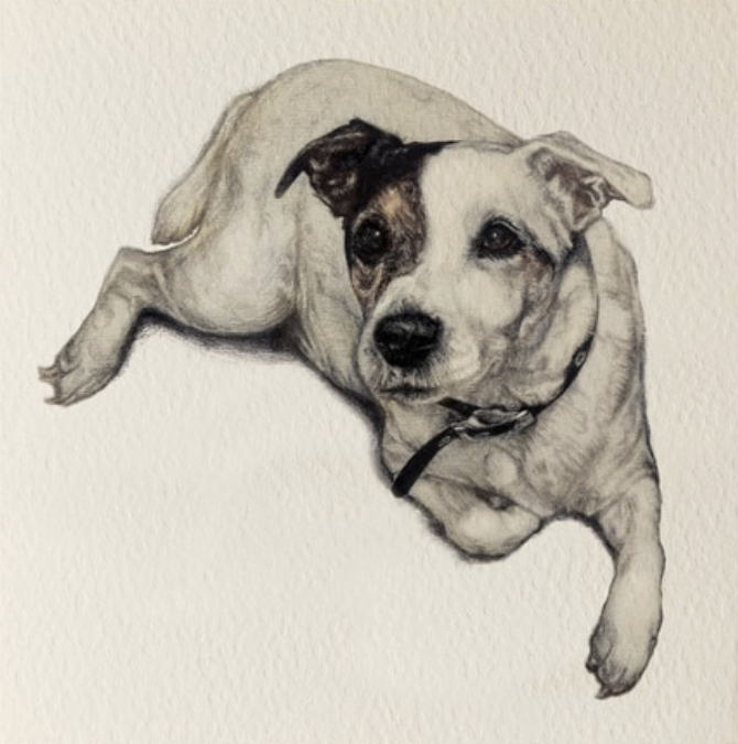 Olivia Bell Card - Axel Jack Russell