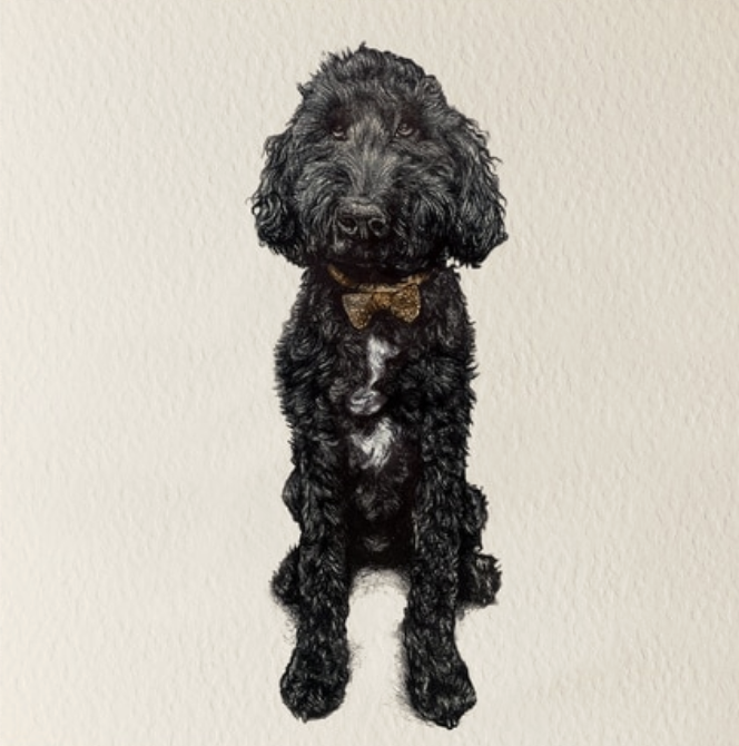 Olivia Bell Card - Lenny Poodle