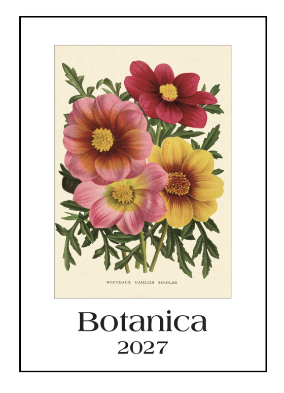 IFI 2027 Art Calendar - Large - Botanical