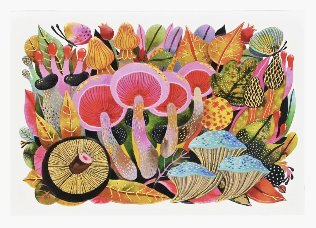 Boxed Everyday Note Card - Mushroom Medley