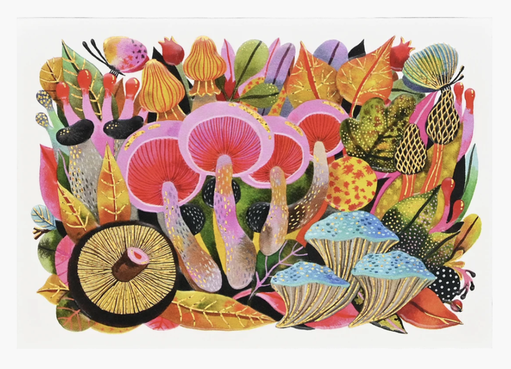 Boxed Everyday Note Card - Mushroom Medley
